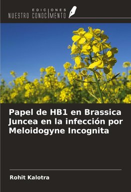 Papel de HB1 en Brassica Juncea en la infección por Meloidogyne Incognita