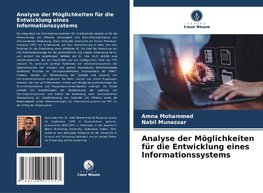 Analyse der Möglichkeiten für die Entwicklung eines Informationssystems