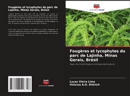 Fougères et lycophytes du parc de Lajinha, Minas Gerais, Brésil