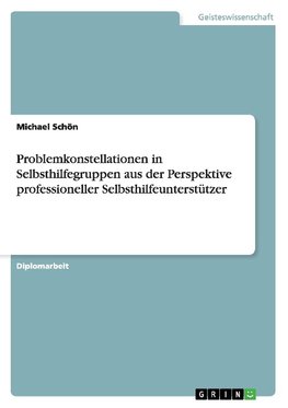 Problemkonstellationen in Selbsthilfegruppen aus der Perspektive professioneller Selbsthilfeunterstützer