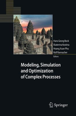 Modeling, Simulation and Optimization of Complex Processes