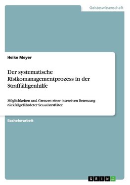 Der systematische Risikomanagementprozess in der Straffälligenhilfe