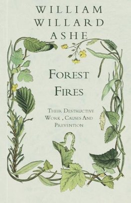 Forest Fires  - Their Destructive Work , Causes And Prevention