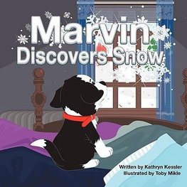 Marvin Discovers Snow