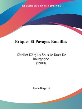 Briques Et Pavages Emailles