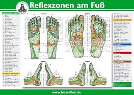 Reflexzonen am Fuß (2 Tafeln A4)